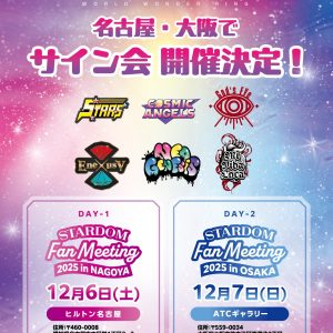 スターダム　ビジュアル